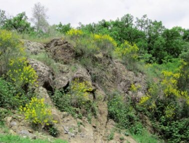 Montefiascone | Circuito del sentiero Mosse - Rojano lungo la Valle Perlata