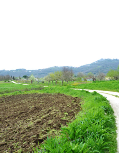 Montefiacone | Circuito Della Caldera lungo la Valle Perlata